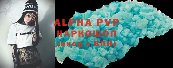 прущие грибы Гатчина