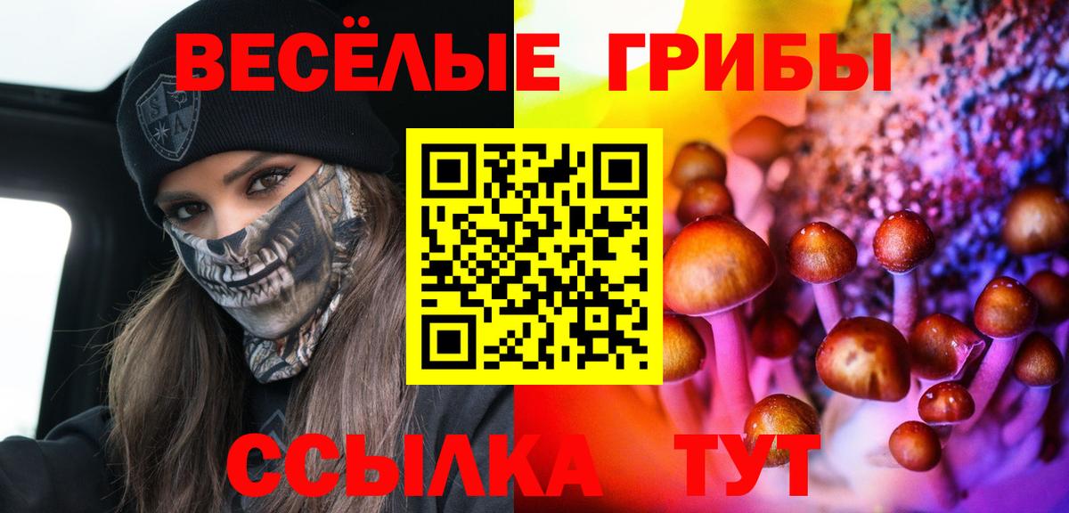 Галлюциногенные грибы GOLDEN TEACHER Клинцы